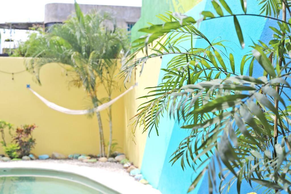 Studio -Trees At Mikasa- Near Beach, Pool, Fast Wifi, Ac & King Bed Puerto Escondido  Zewnętrze zdjęcie